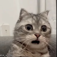 � �� ������ �� �������
