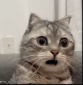� �� ������ �� �������