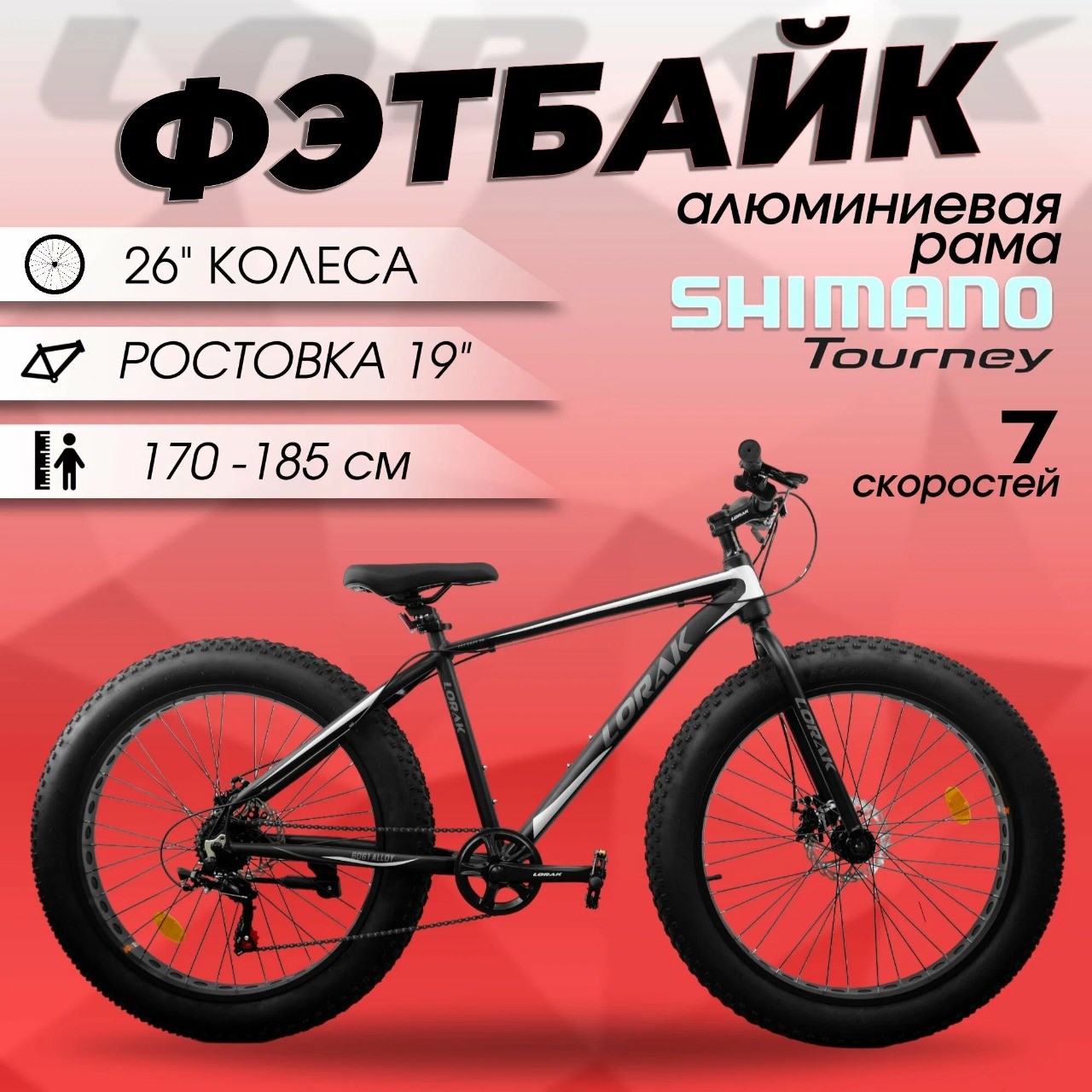 ������� 26/19