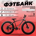 ������� 26/19