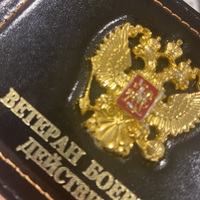 ���������� #2338719