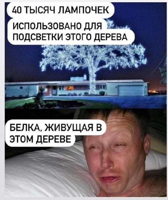 ���������� #2338772
