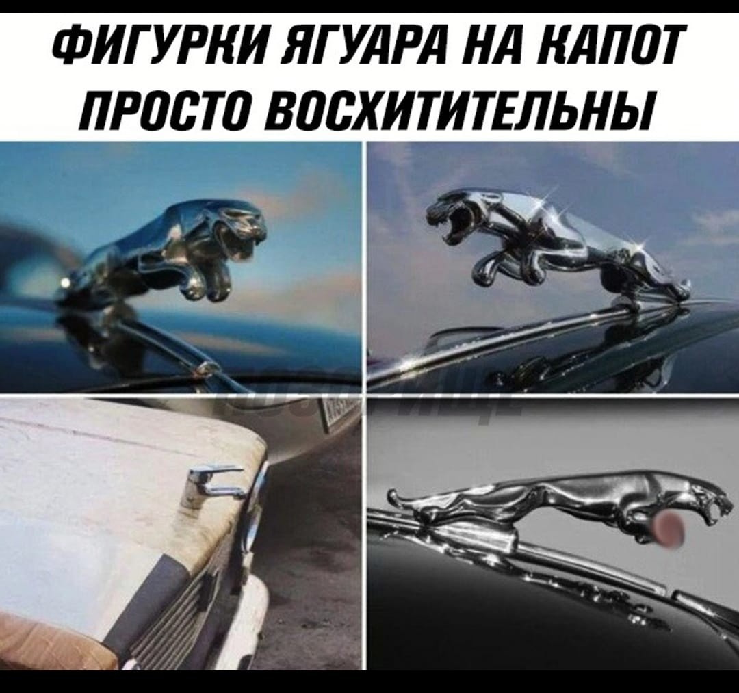 ���������� #2338774