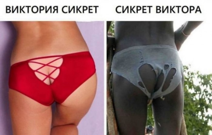 ���������� #2338775