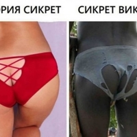 ���������� #2338775