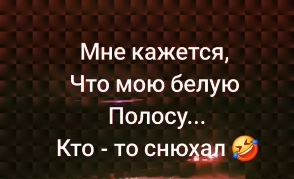 ���������� #2338880