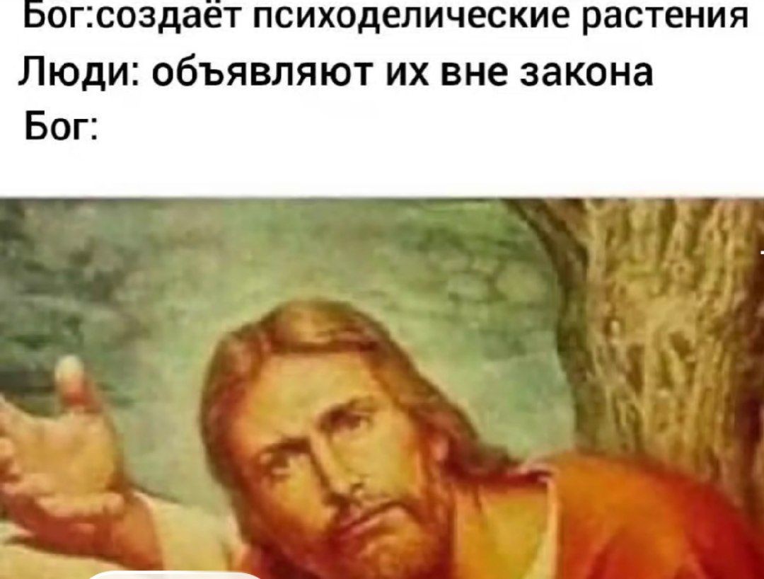 ���������� #2338907