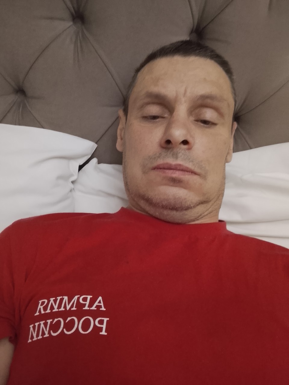 ���������� #2339022