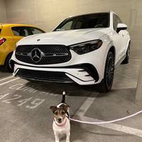 ���������� #2339166