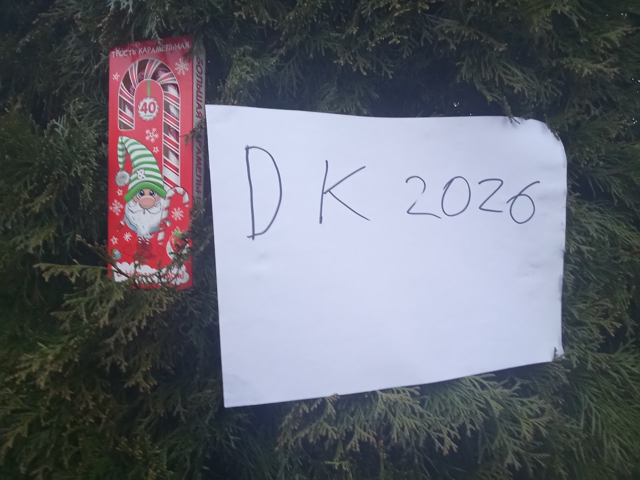 ���������� #2339219