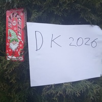 ���������� #2339219