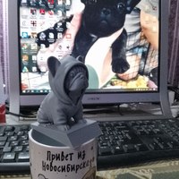 ������ ������)