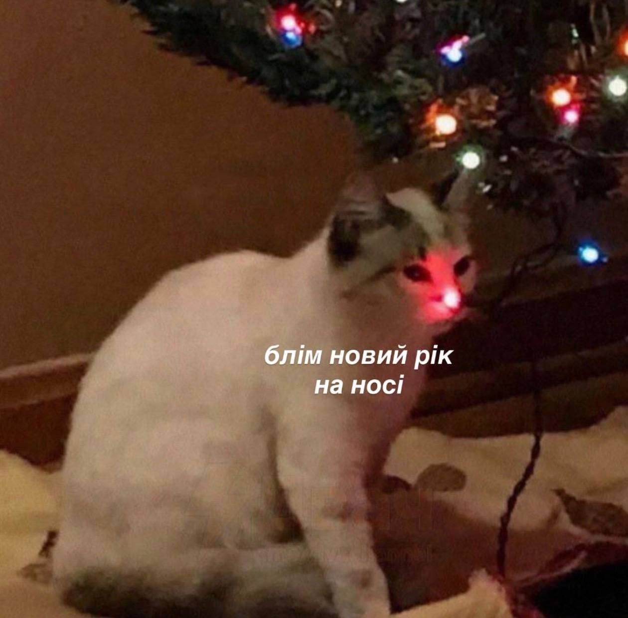 ���������� #2339397