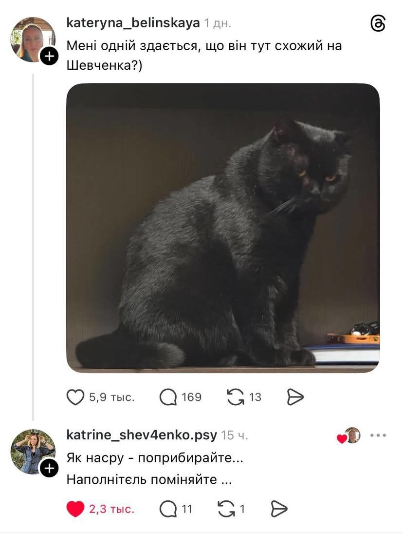 ���������� #2339399