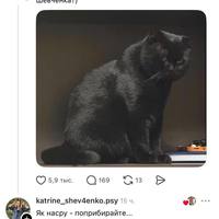���������� #2339399