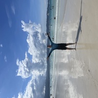 ���������� #2339482