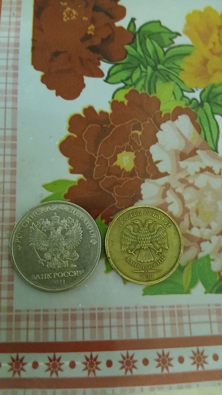 ���������� #2339515
