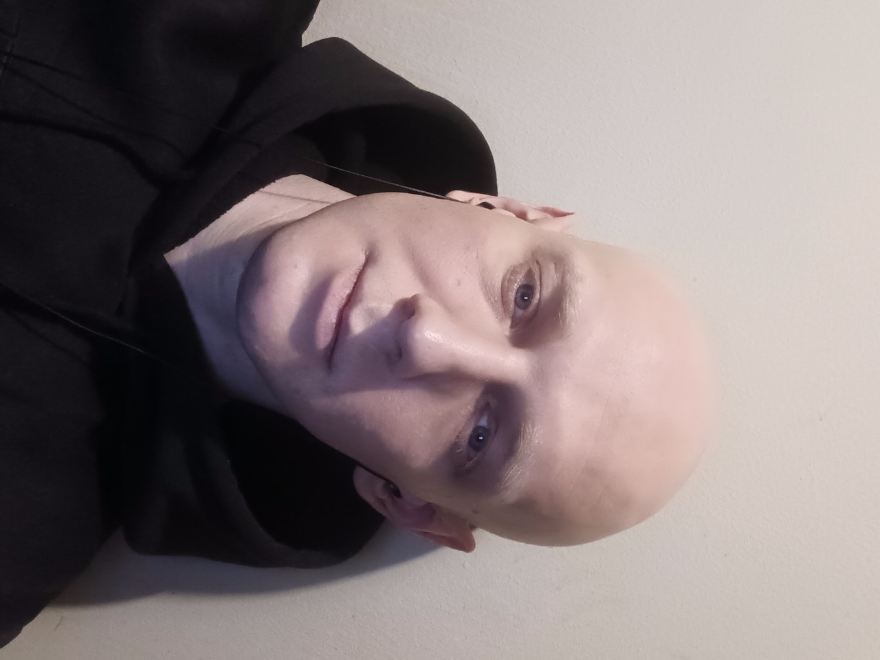���������� #2339556