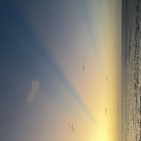 ���������� #2340056