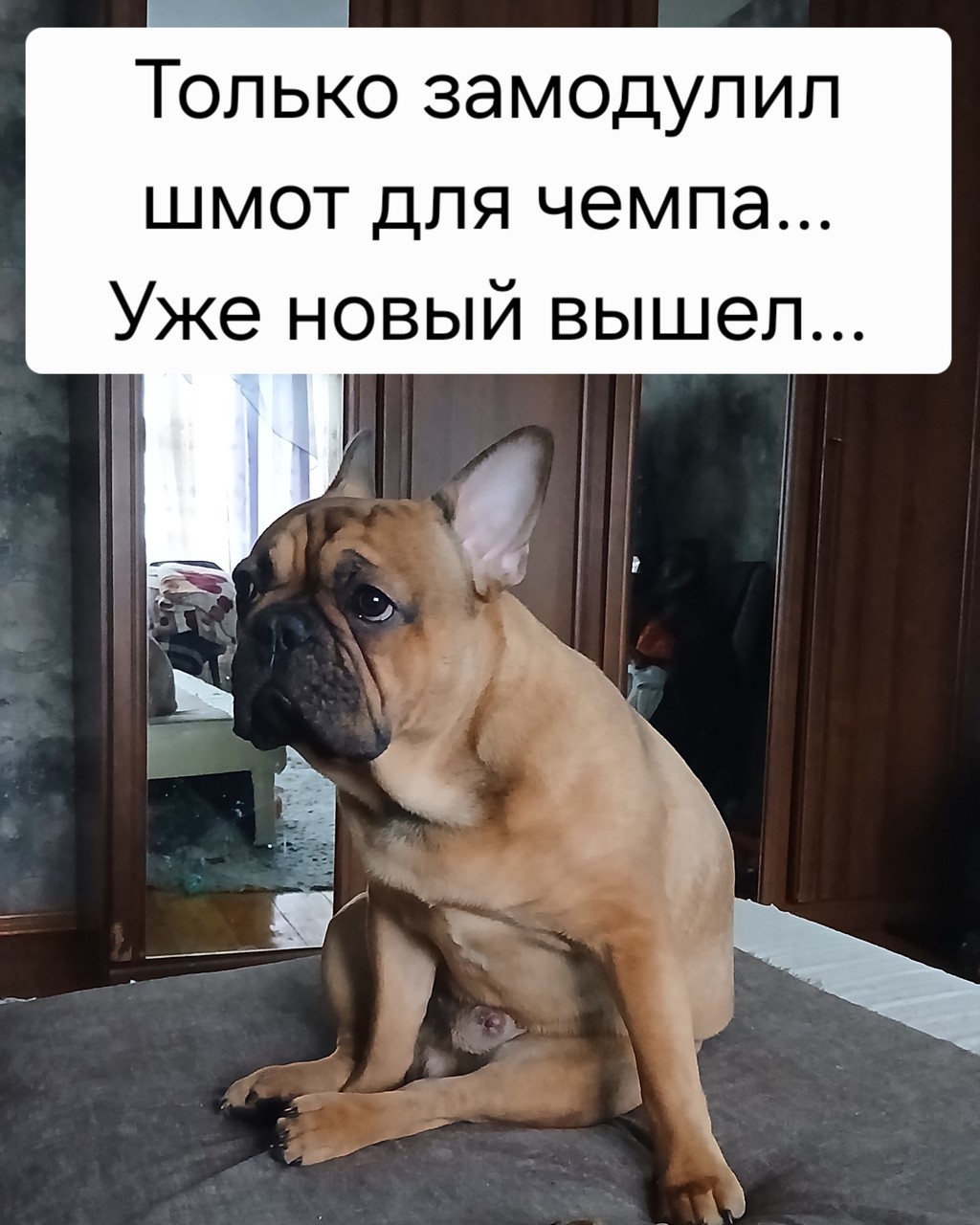 ���������� #2341255