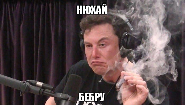 ���������� #2341355