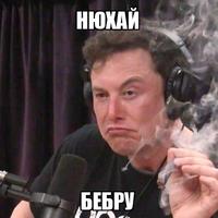 ���������� #2341355