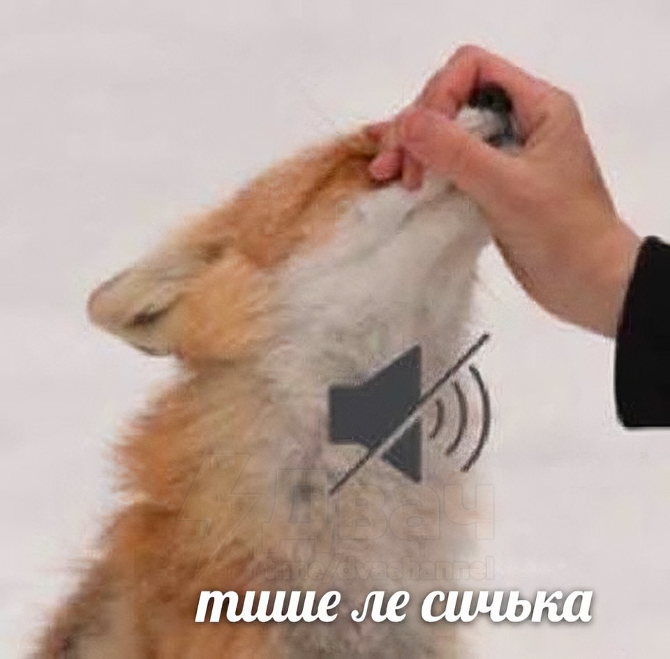 ���������� #2341521