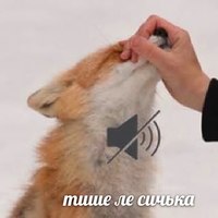 ���������� #2341521