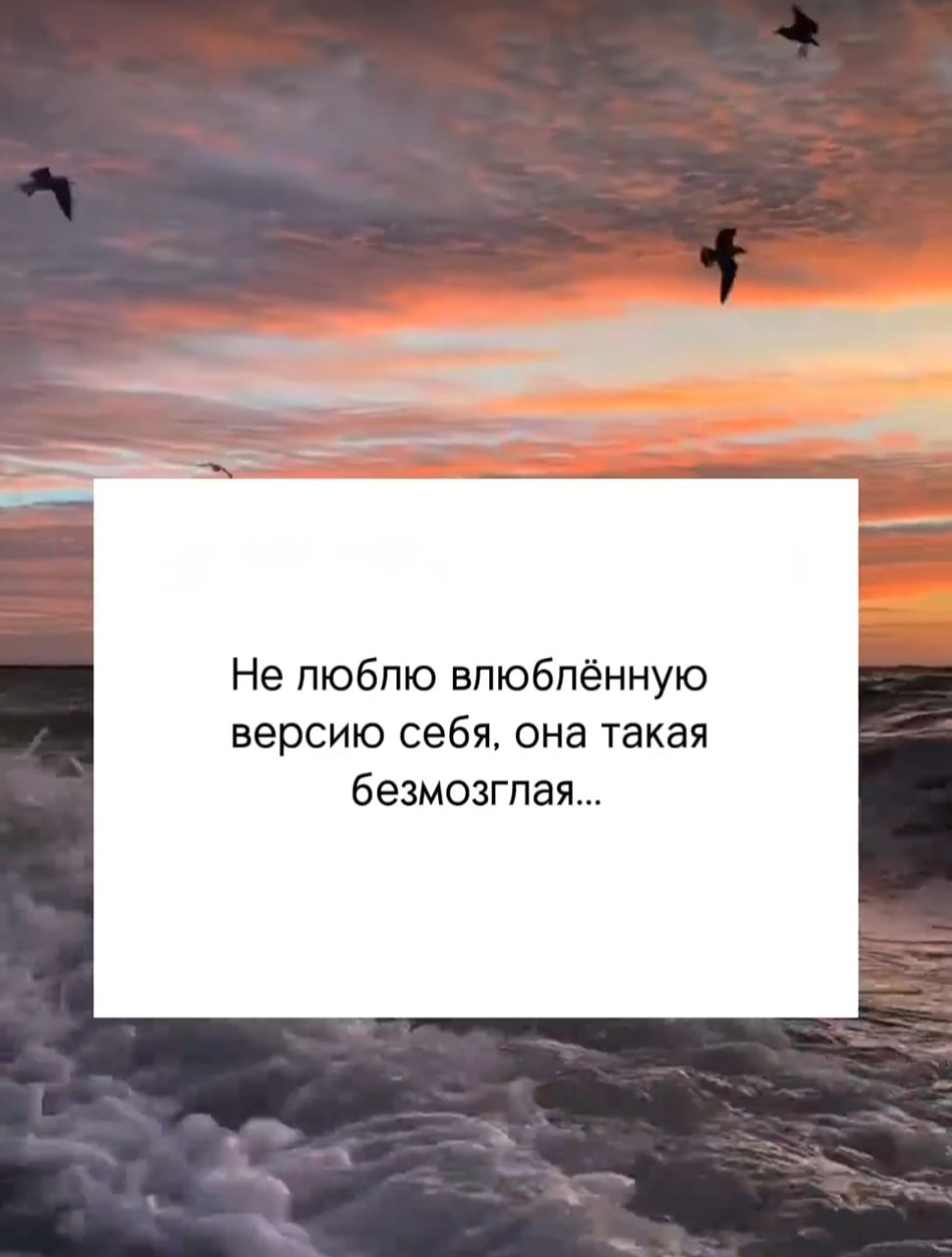 ���������� #2341544