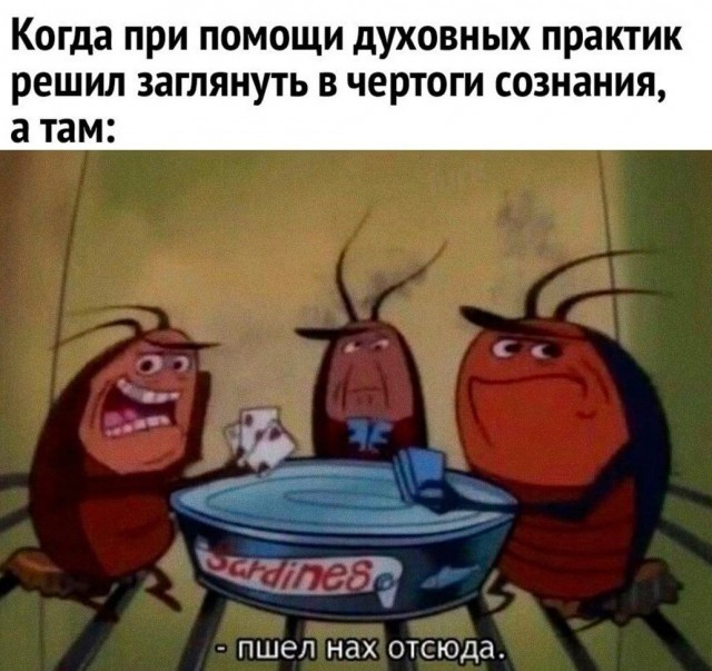 ���������� #2341564