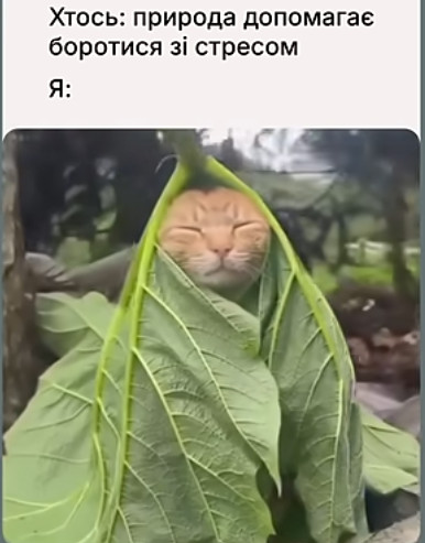 ��������� ����������, ��������