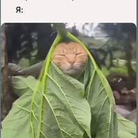 ��������� ����������, ��������