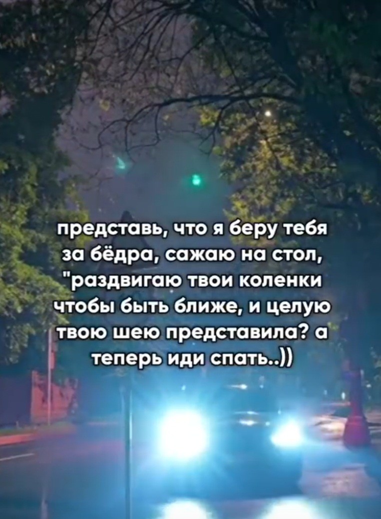 ���������� #2341651