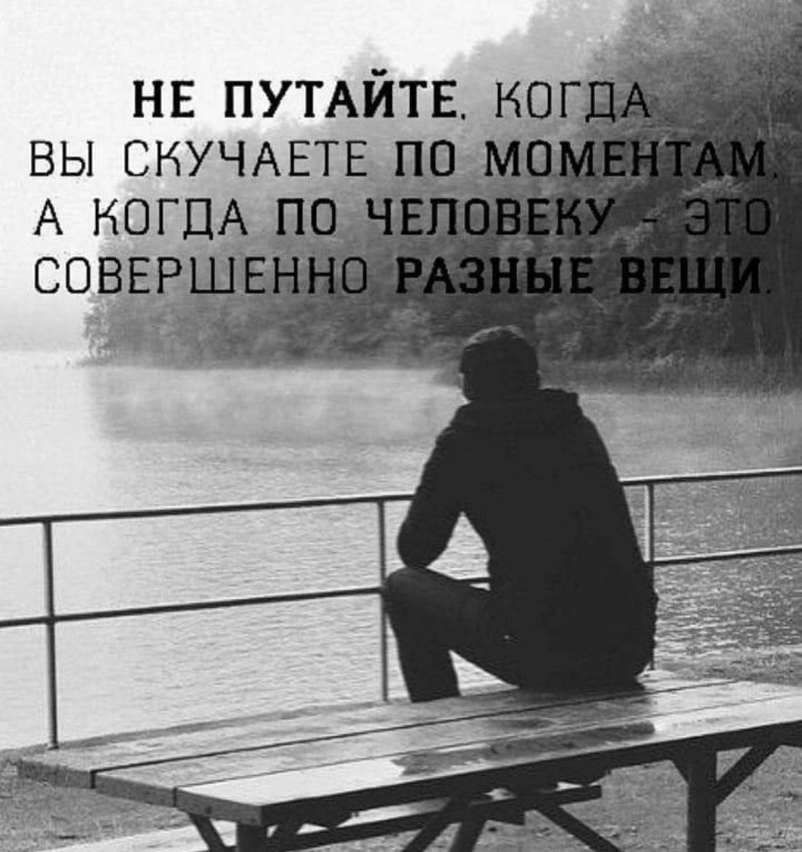 ���������� #2341710