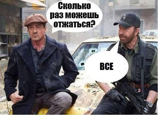 ���������� #2341739
