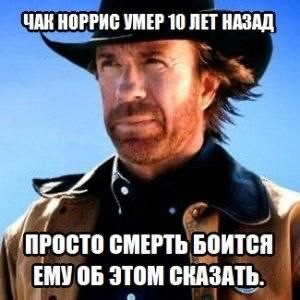 ���������� #2341741