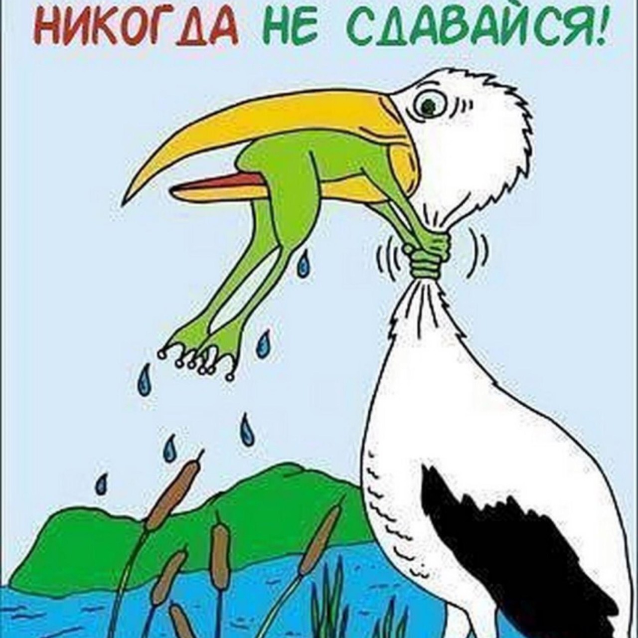 ������ �� �������