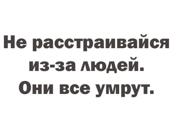 ���������� #2340266
