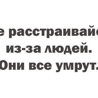 ���������� #2340266