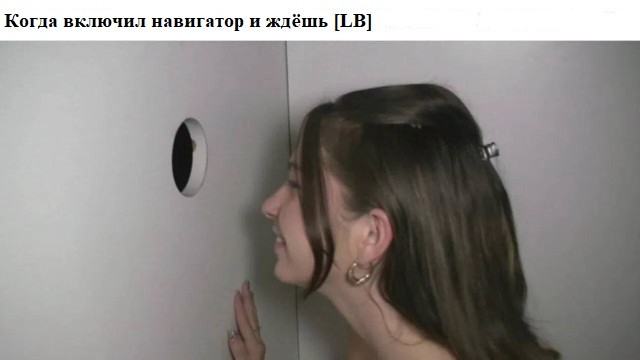 ���������� #2342205