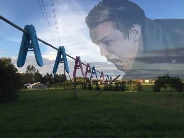 ���������� #2342303