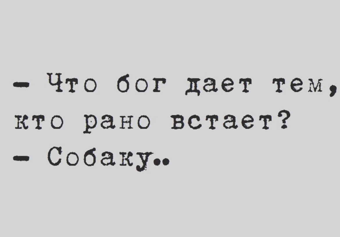 ���������� #2342342