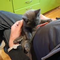 ���������� #2342791