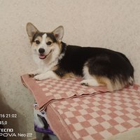 ���������� #2343011