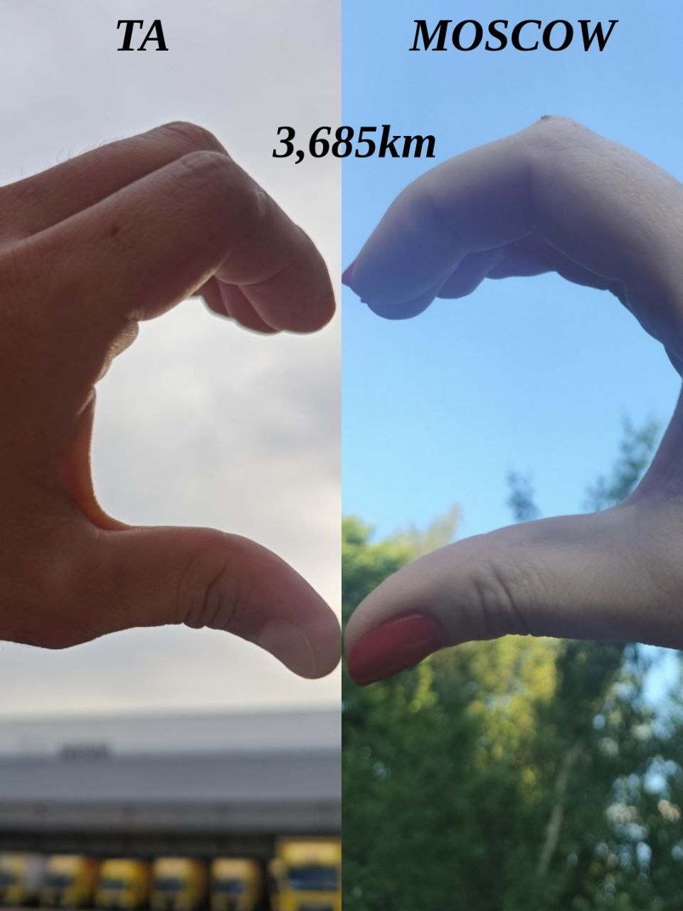 ���������� #2343030