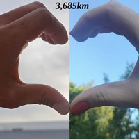 ���������� #2343030