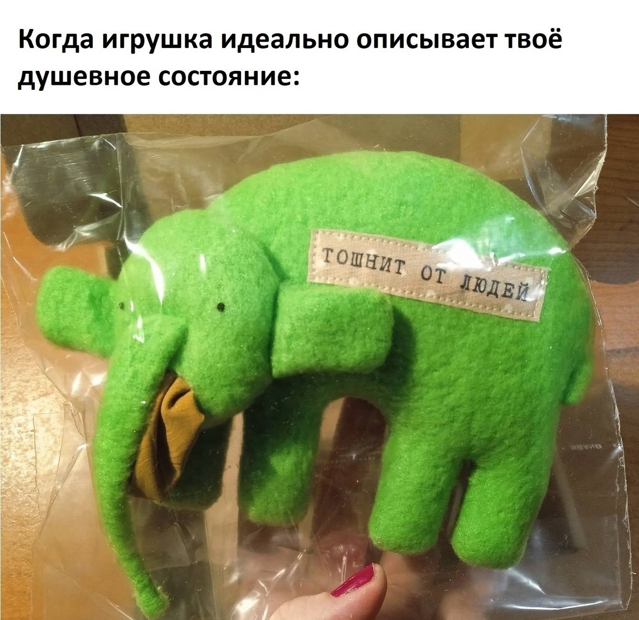 ���������� #2343047