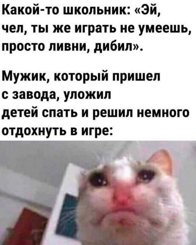 ���������� #2343185