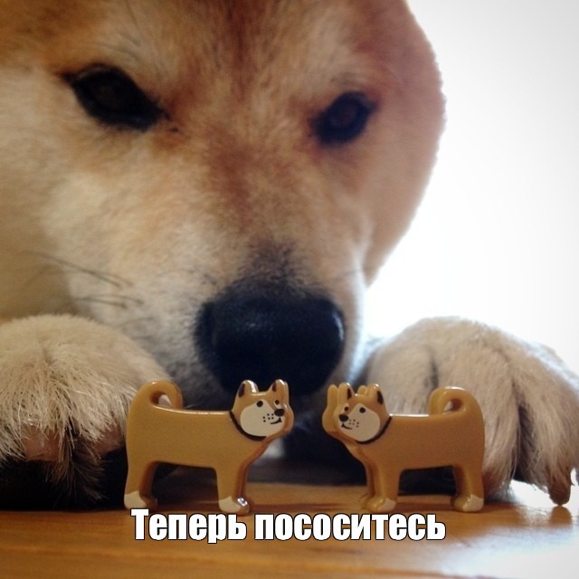 ���������� #2343288