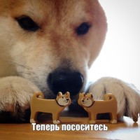 ���������� #2343288